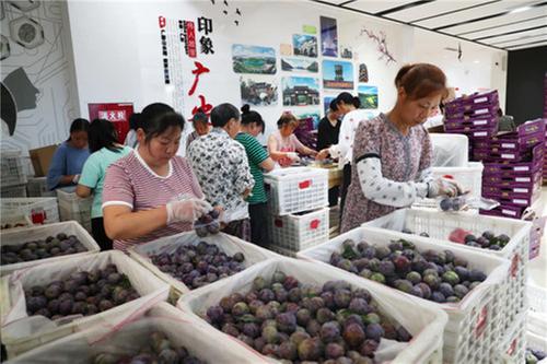广安：电商给力 170万斤李子脱销