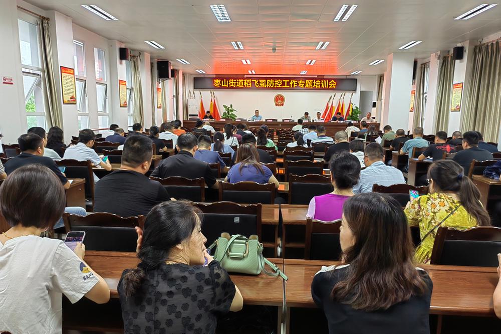 枣山街道全力打好稻飞虱防治歼灭战