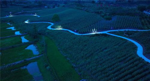 东兴区：科技护航天冬百亿产业