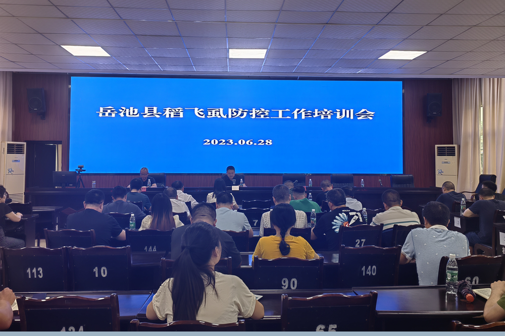 岳池县加强稻飞虱防控 力保水稻丰收