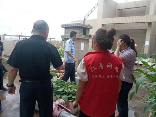 楼顶种菜隐患多，及时治理复原貌