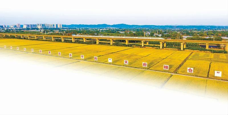 科技执笔 创新为要 农业赋能