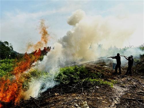 丰禾镇开展夏季森林防灭火应急演练