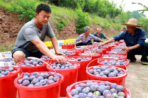 仁寿：打好“组合拳” 助力高校毕业生就业创业