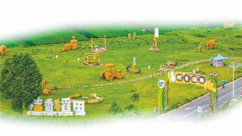 眉山以“智”提质，以“数”提速 跑出“天府粮仓”示范区建设加速度