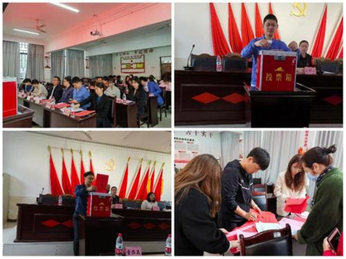 乐山市市中区大佛街道以联促盟 助力旅游民宿高质量发展