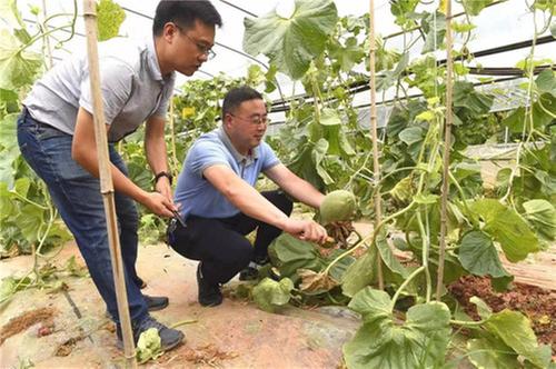 成都大运会开幕式火炬手蒋青淞：把大运精神带回基层，把乡村建设得更美好