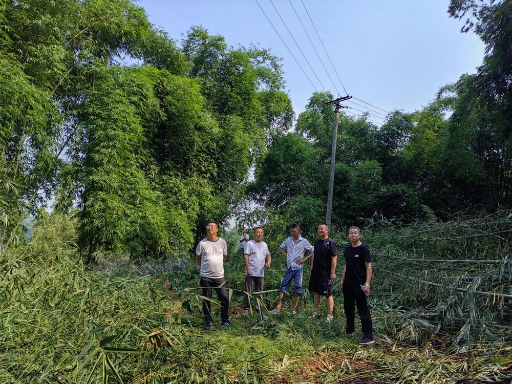 青神县：加强林区输配电设施火灾隐患排查治理