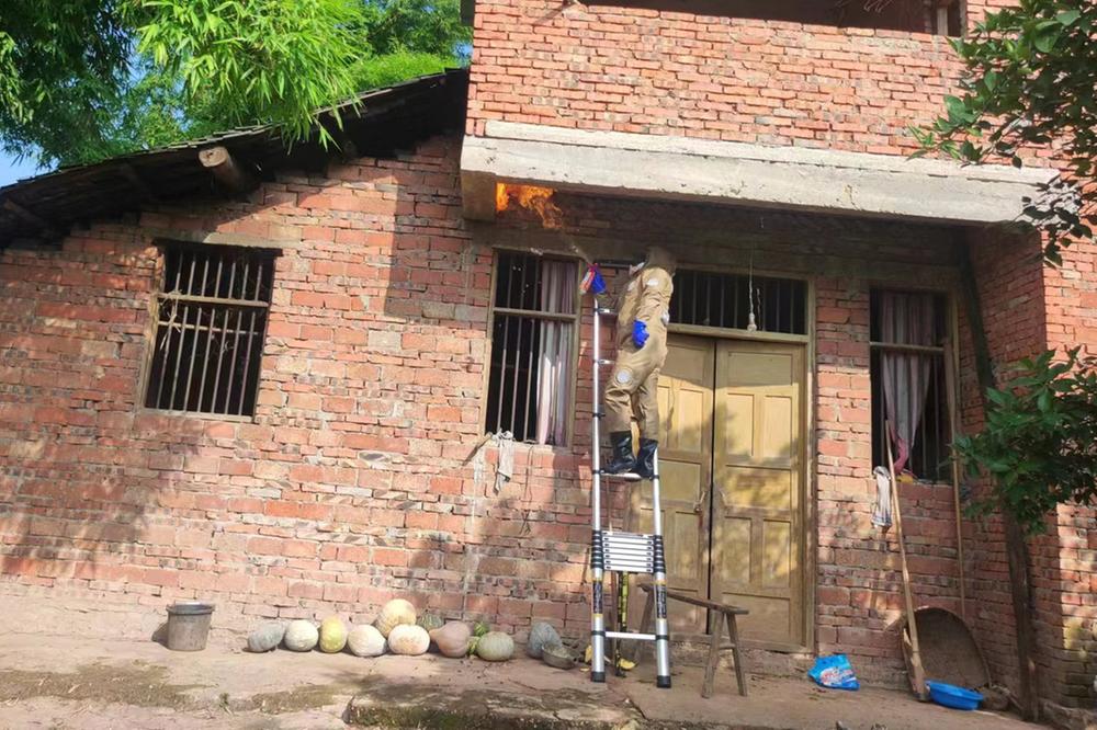 龙孔镇：清除马蜂窝 消除安全隐患