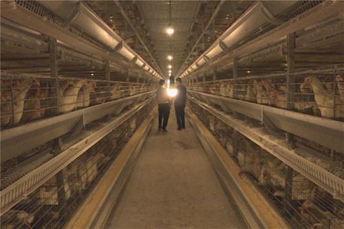 邻水县：产业信贷精准加持  激发乡村振兴活力