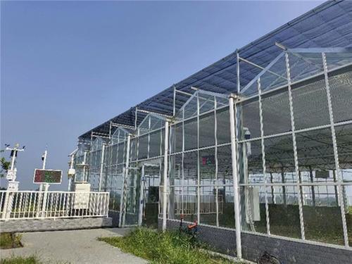 科技赋能“智慧”果园 青神特色产业跑出智能化加速度