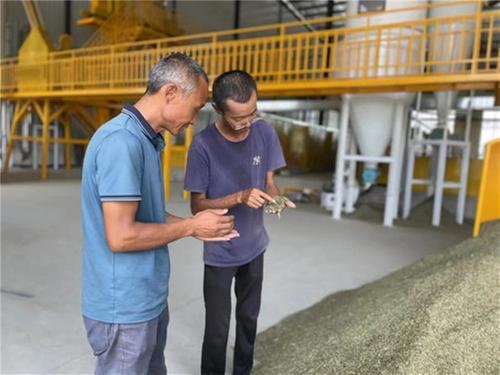 东坡“上新”种子烘干加工仓储中心 日烘干量150吨