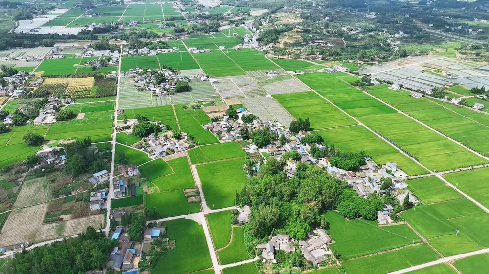 好消息！青神县进入国家农业现代化示范区创建名单