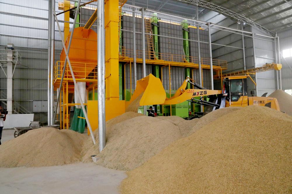 龙台镇粮油烘干中心：马力全开日烘干稻谷240吨   保障粮食颗粒归仓