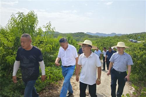 中国农业科学院专家到蓬安县调研院士（专家）工作站建设情况