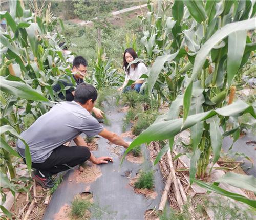 内江市东兴区中医药大健康产业推进中心:深入查摆找问题，提质增效促发展