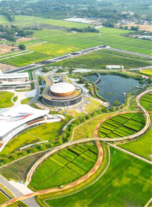 天府粮仓 川种雄心