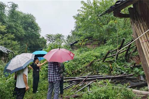 广安经开区枣山街道全力做好成都大运会期间安全防范工作