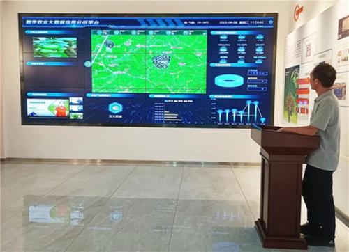 青神县：“粮”辰美景已至 绘就丰收新画卷