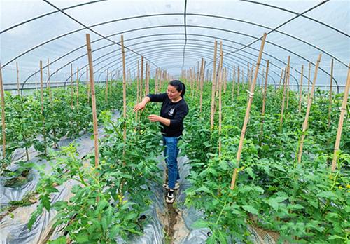 女性科技人才 赋能乡村振兴