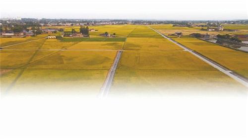 奏响科技助农兴农强农“主旋律”