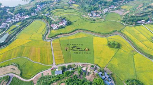 井研县开展2023“中国农民丰收节”庆祝活动