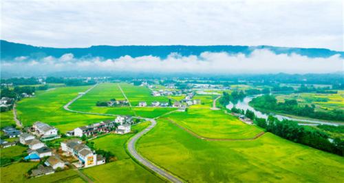 洪雅县：科技注能 人才支撑  擦出产业兴旺“火花”