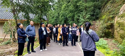 川渝多地科协联合开展石窟寺科技文化交流保护活动