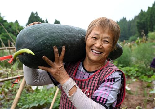 内江东兴区：特色产业助增收