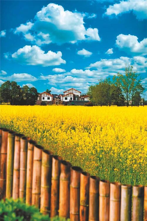 体验农耕乐趣享受田园生活