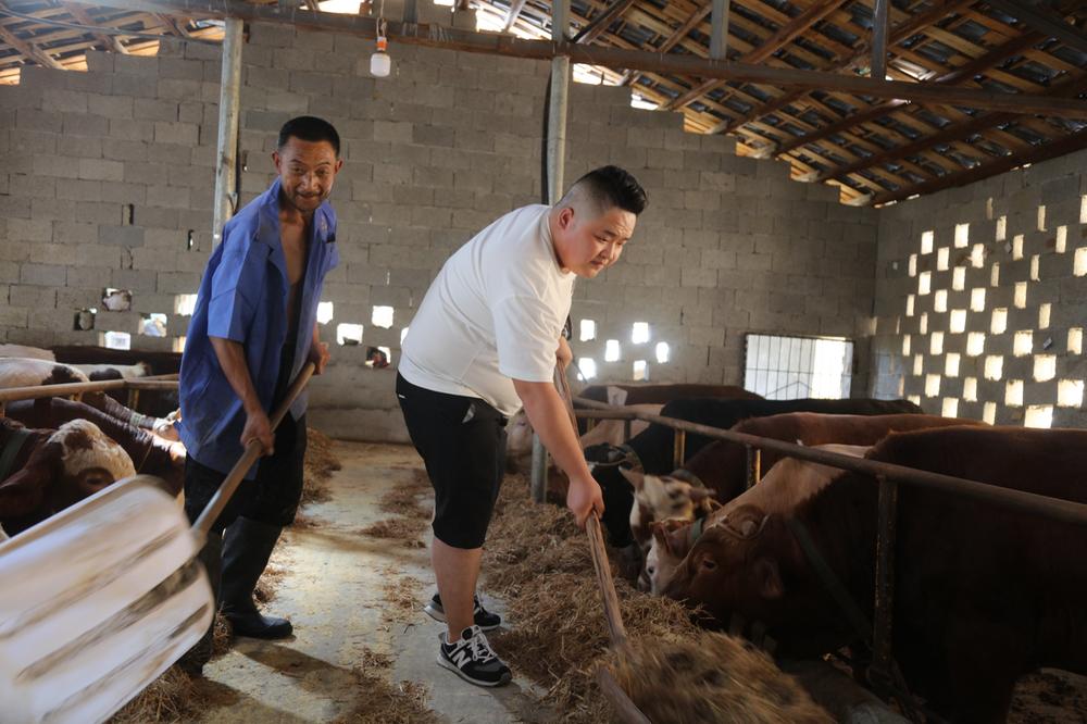 “90后”脱贫牛倌王坤的“牛”故事