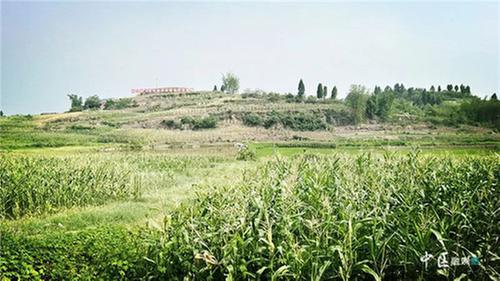 耕地焕然一新！内江市市中区大力推进“五良”融合宜机化改造