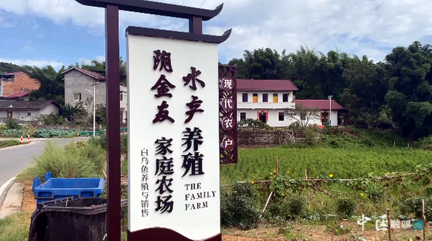 内江市市中区：做好“鱼”文章 助力乡村振兴