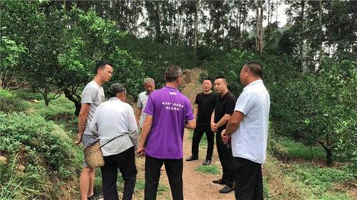 杨场镇：执笔“三微”绘就矛盾纠纷化解新画卷