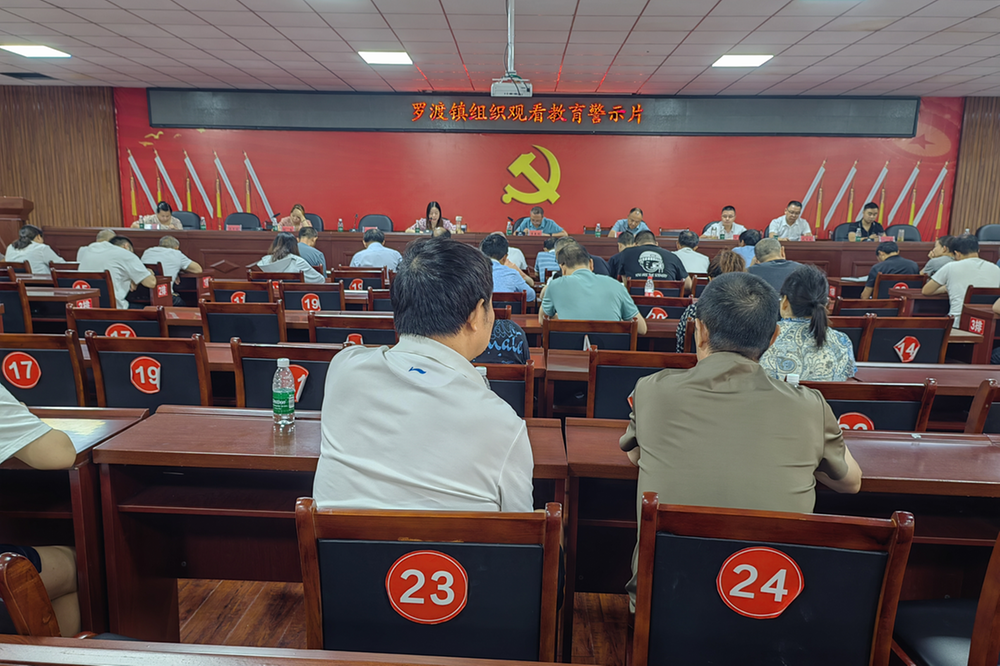 罗渡镇常态化开展党风廉政警示教育