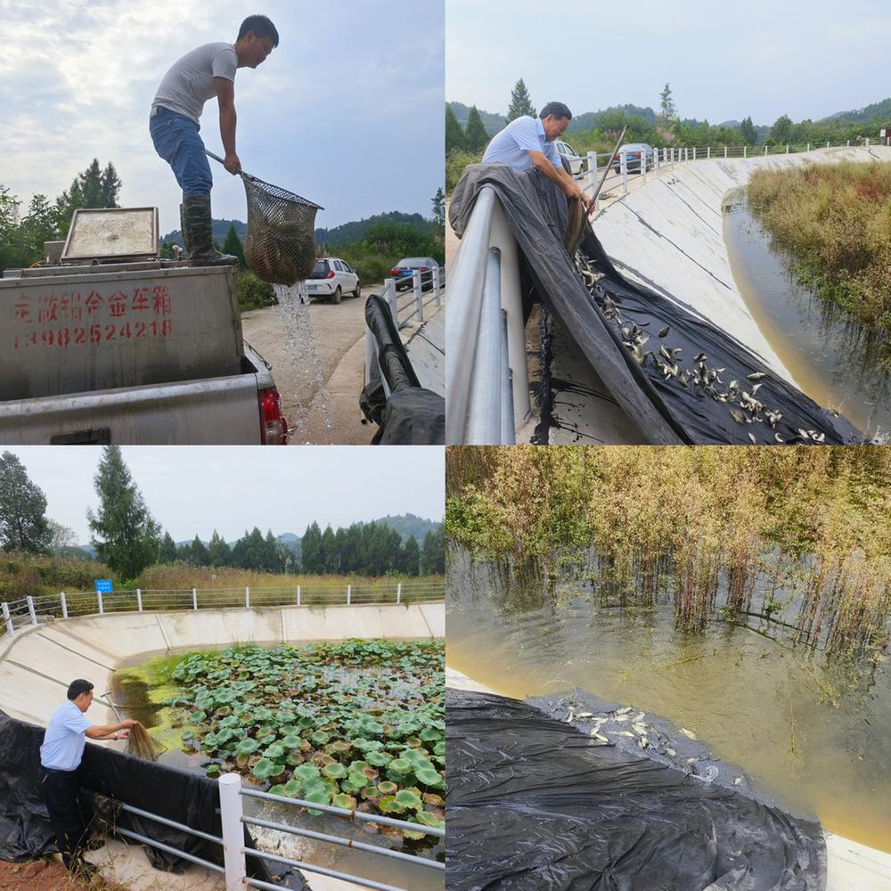 助力乡村振兴  蓬安县科协为金溪镇养殖户送鱼苗