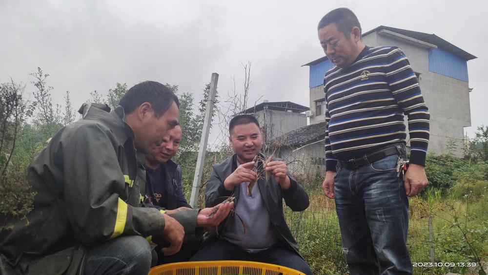 简阳这里的特色水产跃入振兴“龙门”