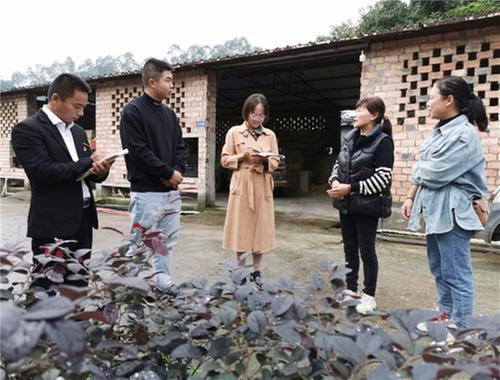 青神县：村民过上“牛”日子 产业发展有奔头