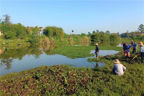新场镇推广村级河湖管护“解放”模式