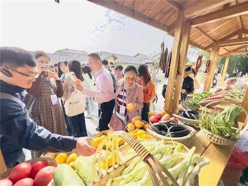 完善公共服务体系 促进城乡融合发展