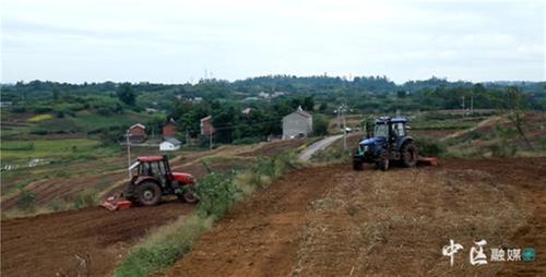 “一站式”！内江市市中区首个农事综合服务中心在龙门镇正式投入运营