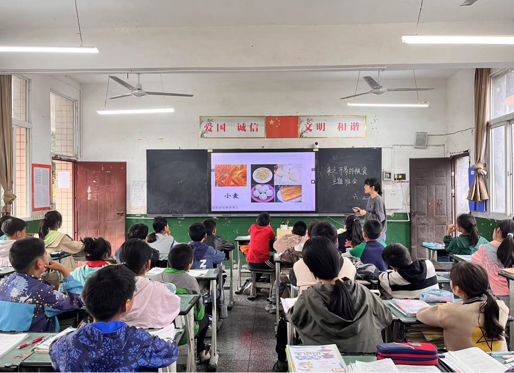 南江县正直镇小学开展“珍惜粮食”系列主题教育活动