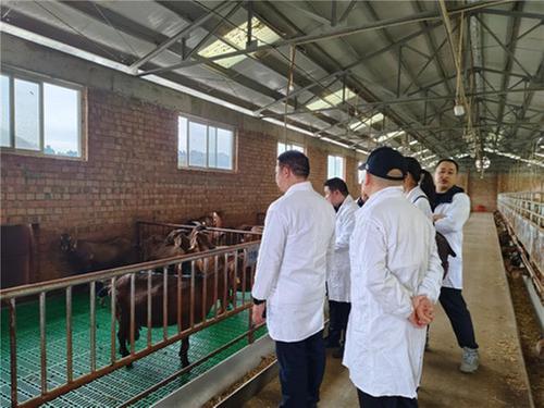 科技赋能羊产业 “四川简州大耳羊科技小院”挂牌