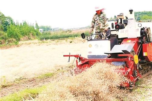 守住碧水蓝天 坐拥一城清新
