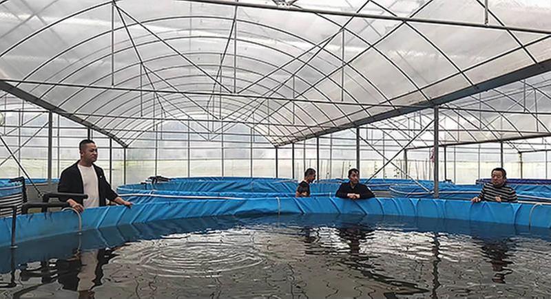 八角村依靠特色水产跃入振兴“龙门”