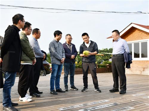 视频新闻|四川农业大学专家团赴广安为柚果保鲜开“良方”