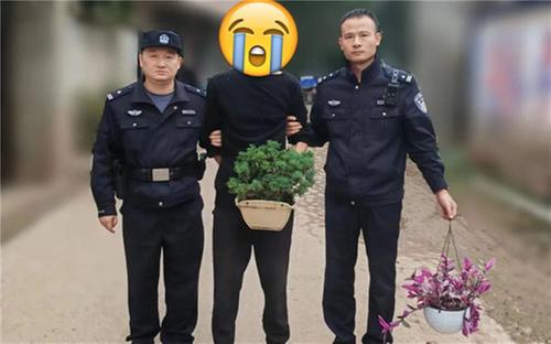 君子爱花，取之有“盗”？天府公安3小时破案