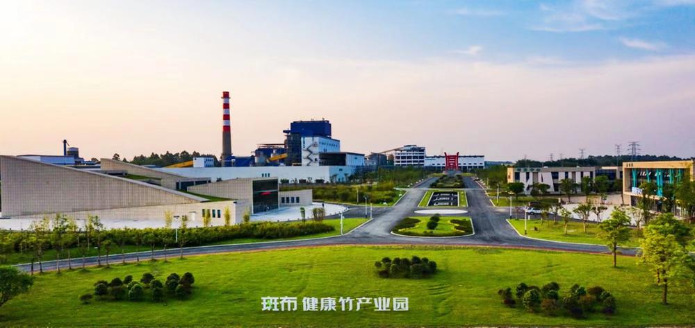 青神县：科技创新引领特色竹产业发展