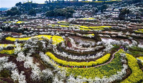龙孔镇：发展观光旅游业 助力乡村振兴
