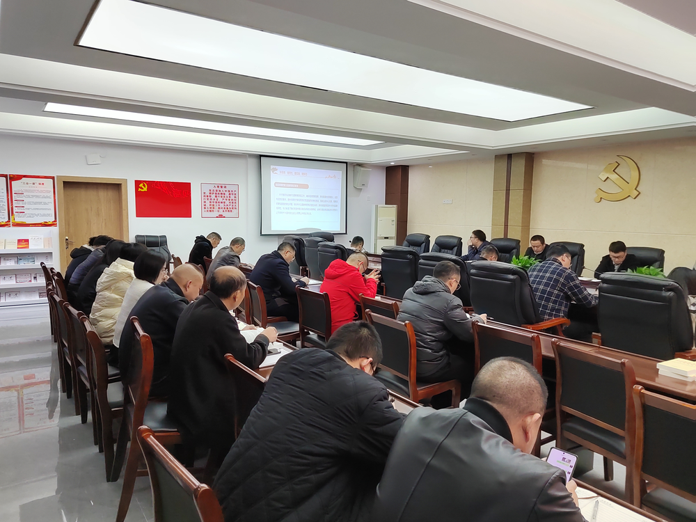 眉山天府新区视高产业推进办机关党支部开展专题党课